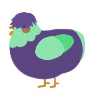 A overcast and spring chicken with a head pattern