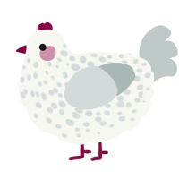 A white and silver chicken with a speckle pattern