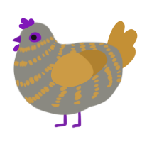 Gold silver, a ash and gold chicken with a bar pattern