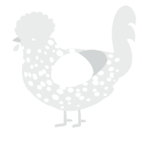 A silver chicken with a speckle pattern