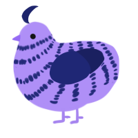 Computer Blue Jr, a lilac and navy chicken with a bar pattern