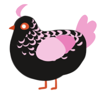 Umbra, a sable and pink chicken with a half-lace pattern