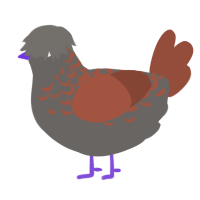 (unnamed), a grey and russet chicken with a half-lace pattern