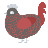 Simmer SG, a grey and red chicken with a lace pattern