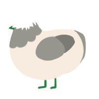 Mystery of Love, a cream and ash chicken with a head pattern