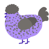 A lilac and grey chicken with a speckle pattern