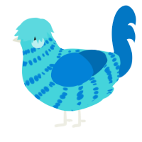 cassia, a aqua and sapphire chicken with a bar pattern
