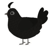 A sable and black chicken with a lace pattern