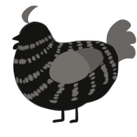 A black and grey chicken with a bar pattern