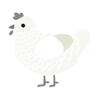 Powder, a white chicken with a lace pattern