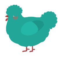 A turquoise chicken