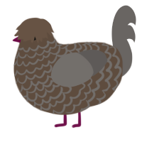 Dirt, a bark and grey chicken with a lace pattern