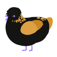 halloweenie, a black and orange chicken with a neck-speckle pattern