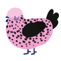 Scene kid, a pink and black chicken with a speckle pattern