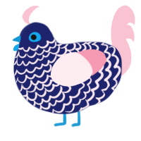 Icing, a navy and rose chicken with a lace pattern