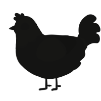 A black chicken with a head pattern