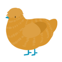 Gragh, a orange chicken with a bar pattern