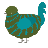 A olive and teal chicken with a bar pattern
