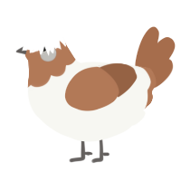 (unnamed), a white and brown chicken with a head pattern