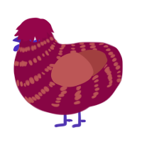 oh look a strawberry, a maroon and red chicken with a bar pattern