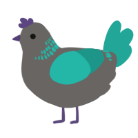 A grey and turquoise chicken with a neck-band pattern