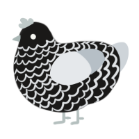 A sable and mist chicken with a lace pattern