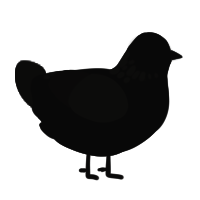 A black and sable chicken with a neck-speckle pattern