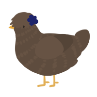 A bark chicken with a bar pattern