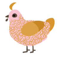 A rose and orange chicken with a double-lace pattern
