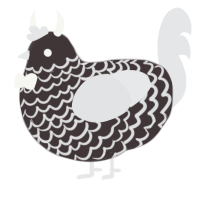 Overcast Skies, a silver and sable chicken with a lace pattern