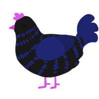 Tripping Down Stairs, a sable and navy chicken with a bar pattern