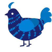 A navy and sapphire chicken with a bar pattern