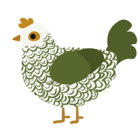 Cabbage, a white and olive chicken with a double-lace pattern
