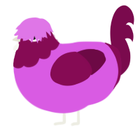 (unnamed), a orchid and wine chicken with a head pattern