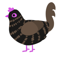 A sable and bark chicken with a bar pattern