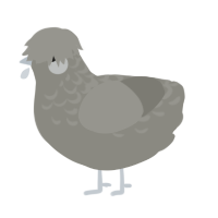 A ash chicken with a half-lace pattern