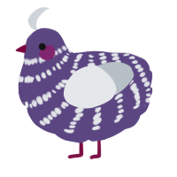 A overcast and mist chicken with a bar pattern