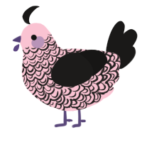 A rose and sable chicken with a double-lace pattern
