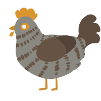 A ash and bark chicken with a bar pattern