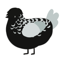 (unnamed), a black and silver chicken with a half-lace pattern