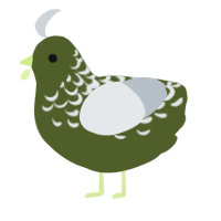 A olive and mist chicken with a half-lace pattern
