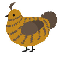 A ochre and bark chicken with a bar pattern