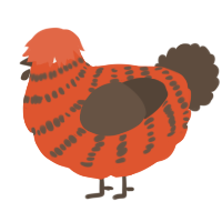 A vermilion and bark chicken with a bar pattern