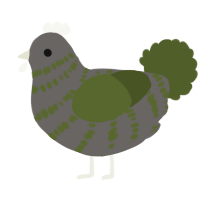 A grey and olive chicken with a bar pattern
