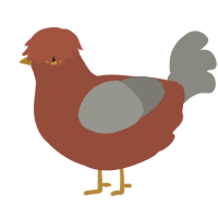 A russet and ash chicken