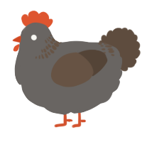 A grey and bark chicken with a neck-band pattern