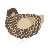 A bark and beige chicken with a lace pattern
