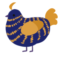 Vincent, a navy and orange chicken with a bar pattern