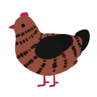 A russet and black chicken with a bar pattern