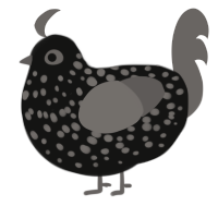 A black and grey chicken with a speckle pattern